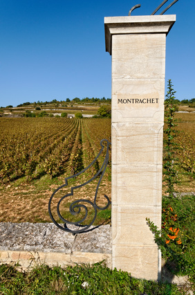 Une vente de grands bourgogne en septembre