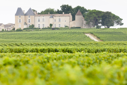 Le millésime 2011 du Château d'Yquem est une réussite