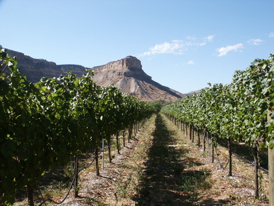 Les vins américains du Colorado