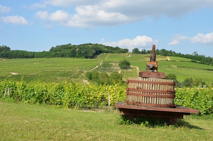 La qualité des bouteilles de Bourgogne n'est plus à prouver