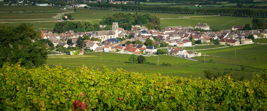 Les prix explosent en Bourgogne viticole