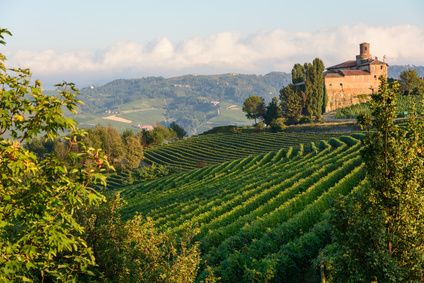 La région des vins du Piémont valorisée par l'UNESCO