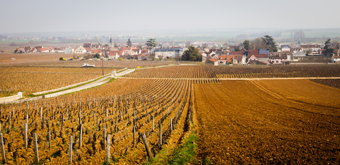 Vosne-Romanée - Domaine de la Romanée-Conti