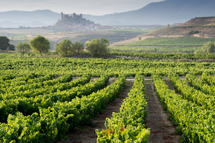 Vin de Rioja en Espagne