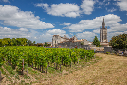 Saint-Émilion et ses vignobles - Marché des grands crus à Bordeaux