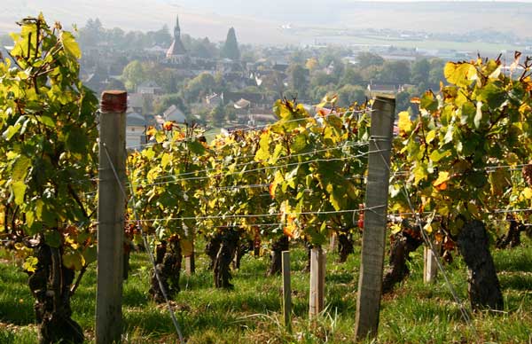 Le vignoble français de Bourgogne et de Champagne au patrimoine mondial